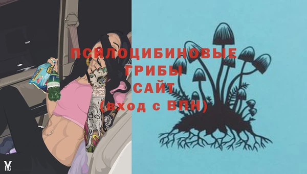 стафф Вязники