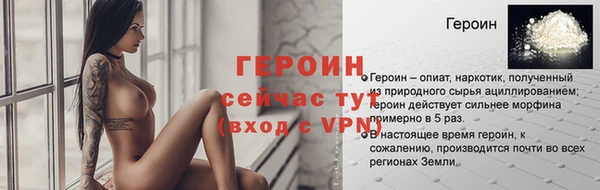 стаф Новодвинск