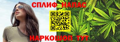 стаф Бузулук