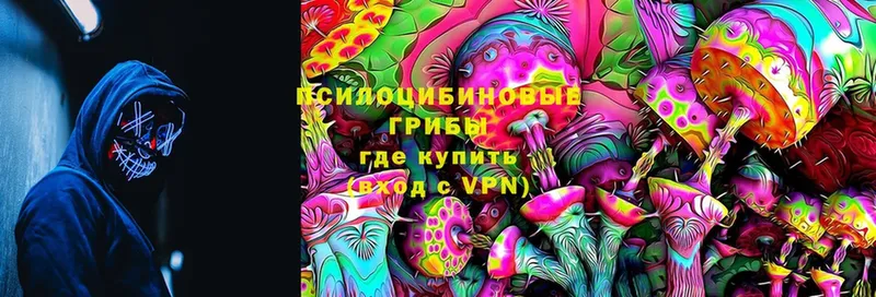 Псилоцибиновые грибы Cubensis  Коммунар 