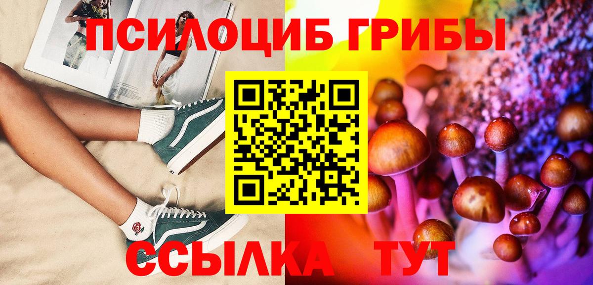 Галлюциногенные грибы Psilocybe Коммунар
