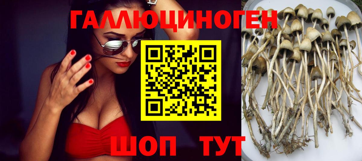 Галлюциногенные грибы мухоморы Коммунар