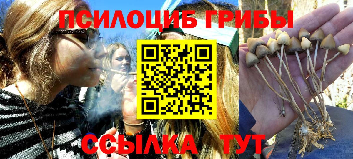 Галлюциногенные грибы Psilocybe  Галлюциногенные грибы Magic Shrooms  Вход с VPN  Коммунар 